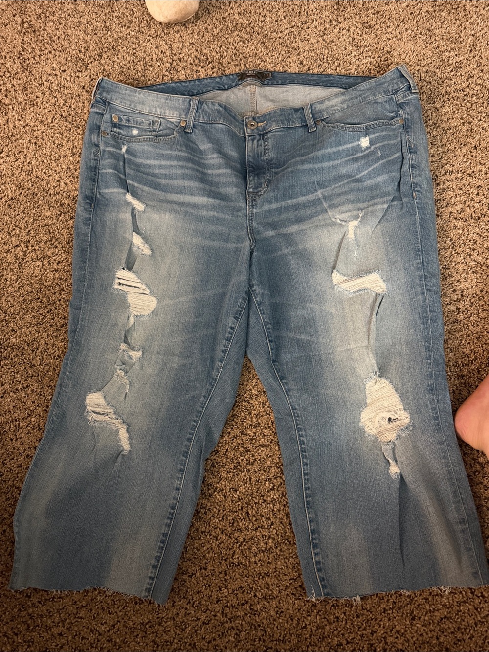 torrid Light Blue Distressed Ankle Crop Jeans